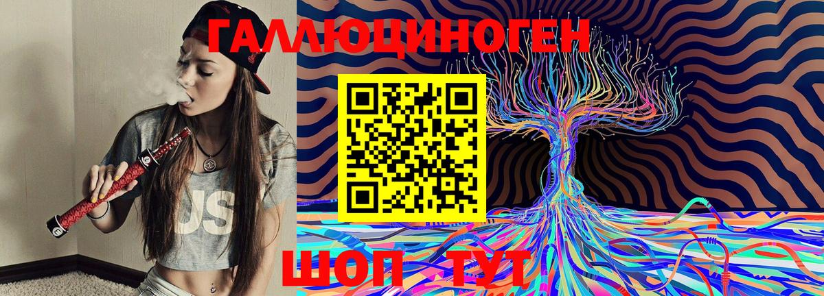 Волжский  Галлюциногенные грибы Psilocybine cubensis  Вход с VPN 