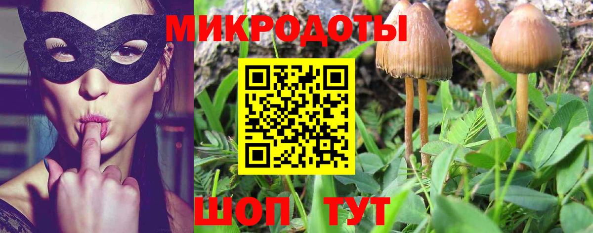 Псилоцибиновые грибы MAGIC MUSHROOMS Волжский